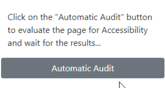 Automatic Audit button